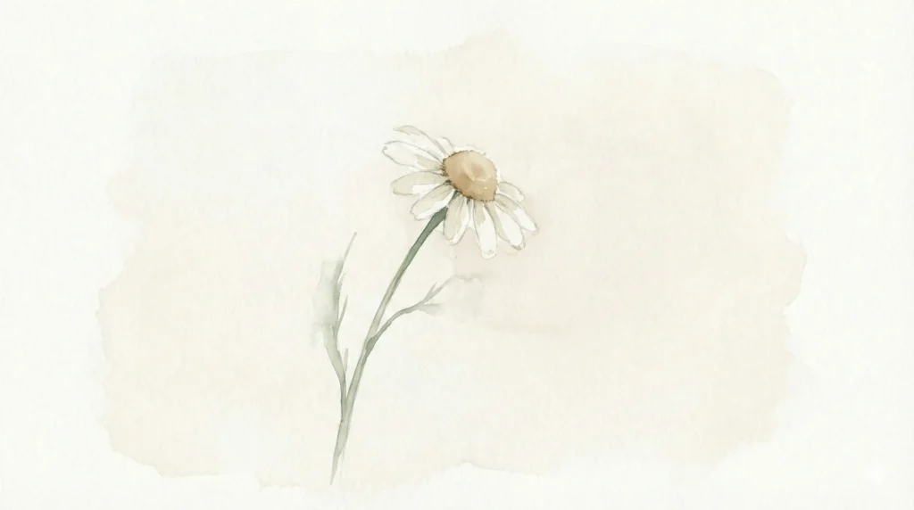 Flor de camomila delicada representando a cura emocional e o autoconhecimento feminino — ferida da rejeição