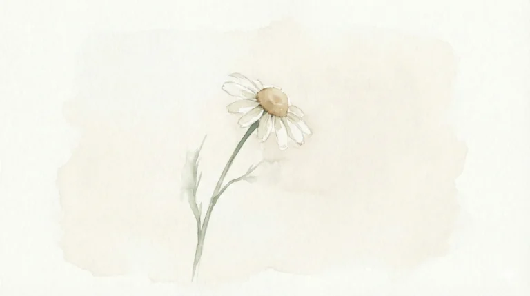 Flor de camomila delicada representando a cura emocional e o autoconhecimento feminino — ferida da rejeição